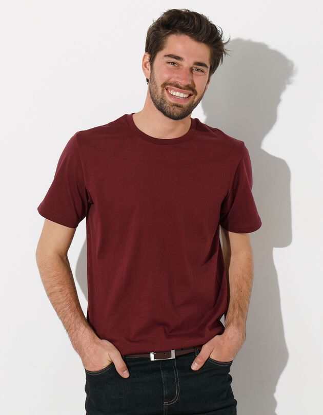 T-shirt col rond manches courtes - lot de 3 (bordeaux + marine + bleu)
