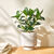 Plante artificielle en pot (gris)