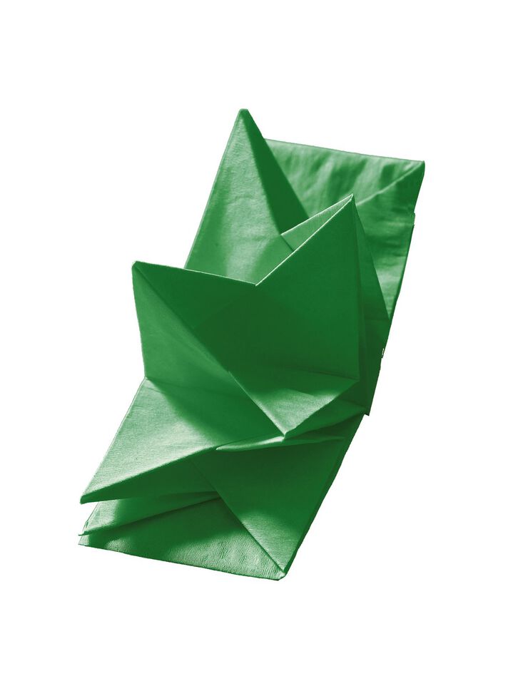Lot de 12 serviettes prépliées (vert)