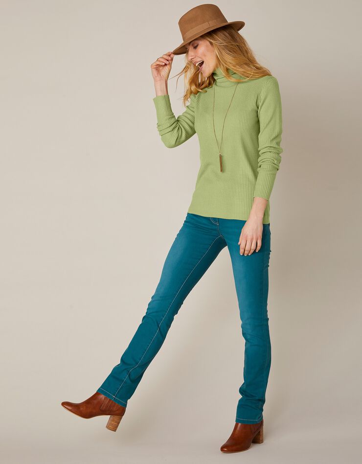 Pull col roulé uni maille côtelée (vert amande) Pull col roulé uni maille côtelée (vert amande)