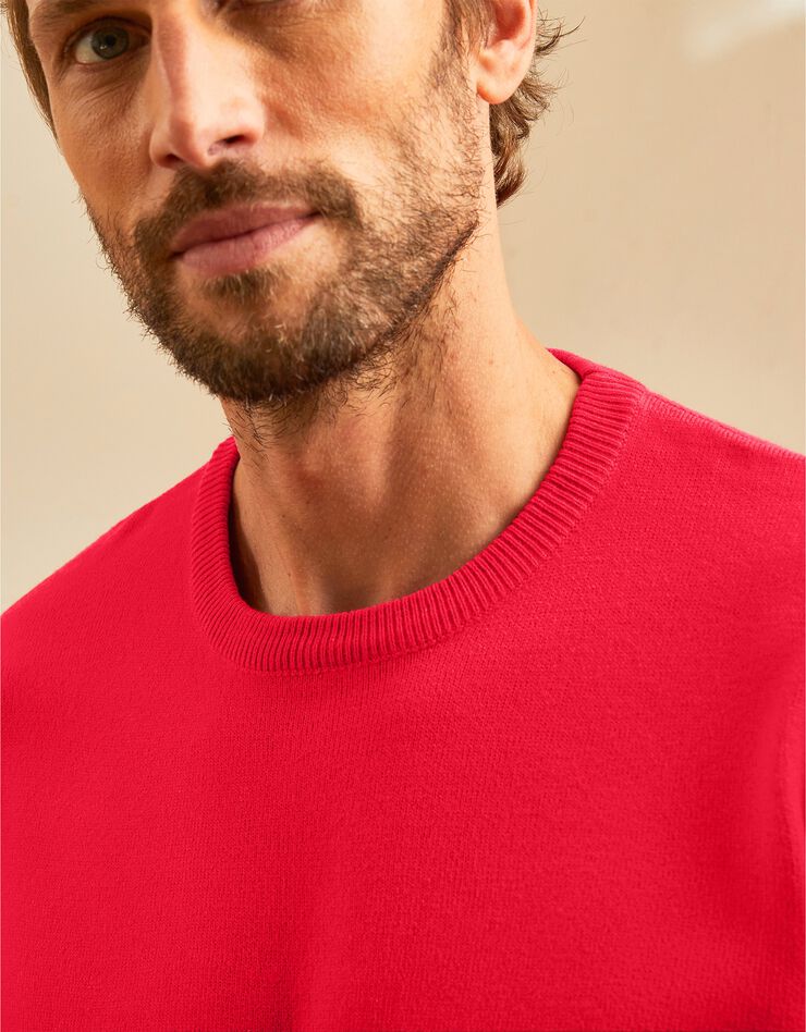 Pull uni col rond (corail)