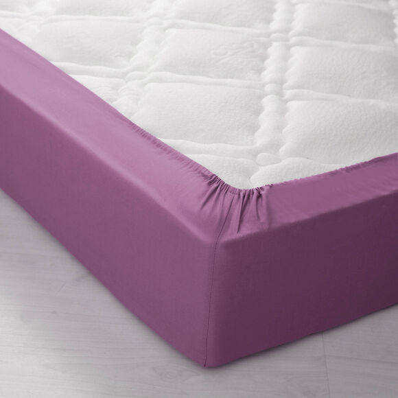 Drap-housse uni polyester - coton bonnet 32 cm (figue)