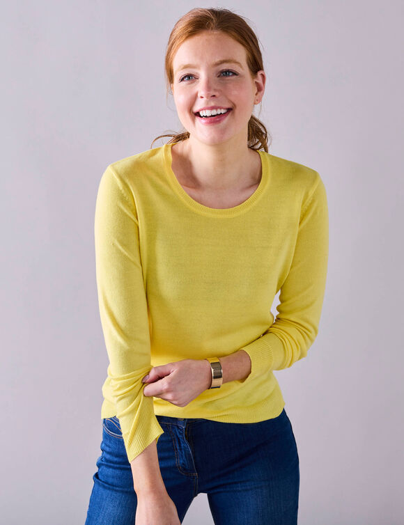 Pull col rond uni, manches longues, toucher doux (jaune pâle)