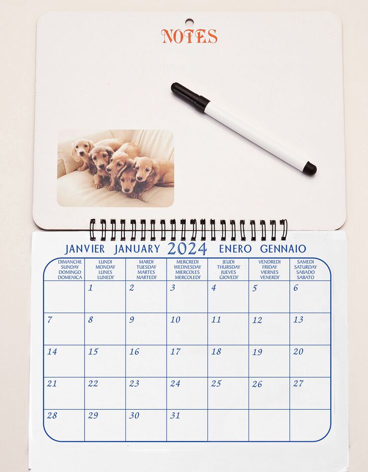 Calendrier mémo chiots 2024 (unique)