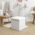 Coffre pouf en bouclette sherpa (blanc)