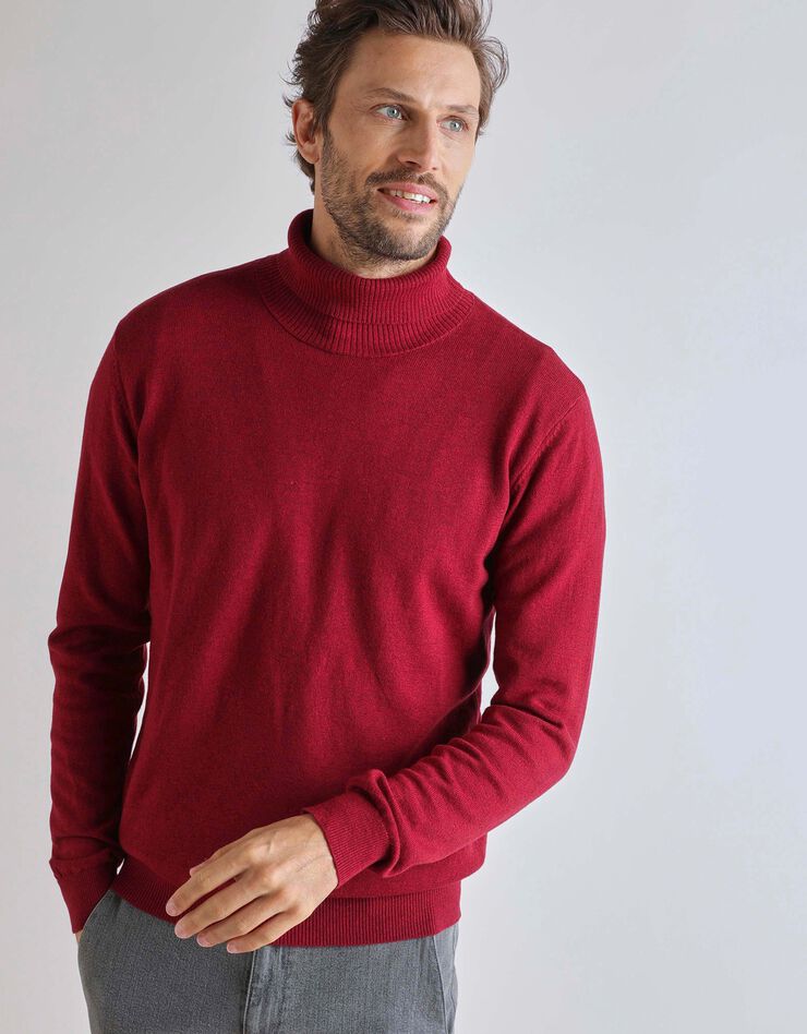 Pull col roulé en laine mélangée (rouge carmin) Pull col roulé en laine mélangée (rouge carmin)