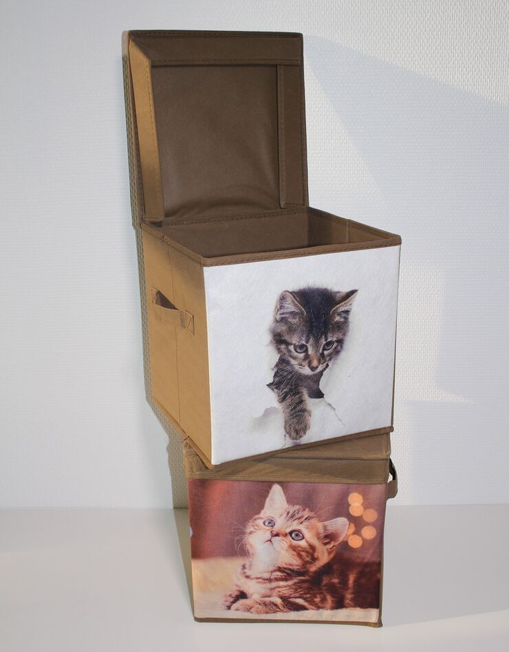 Boîte de rangement motif «chat» - lot de 2 (marron) Boîte de rangement motif «chat» - lot de 2 (marron)