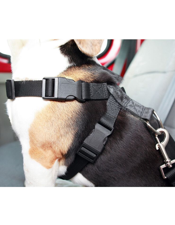 Harnais et sangle de sécurité pour chien (noir) Harnais et sangle de sécurité pour chien (noir)