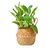 Plante verte artificielle panier jonc (vert)
