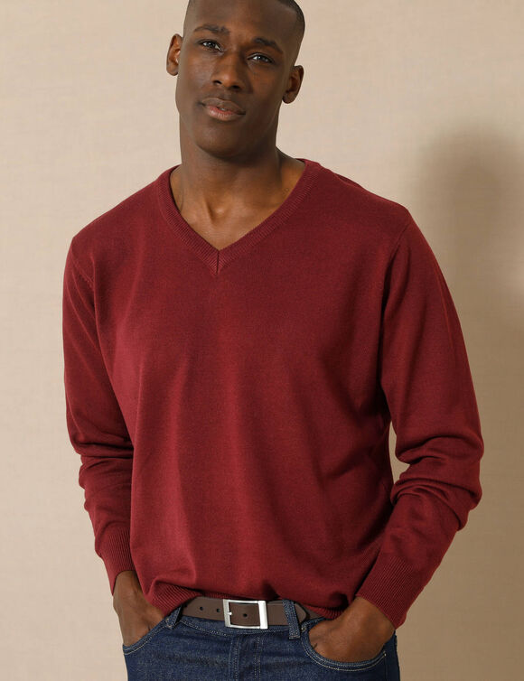 Pull uni col V (bordeaux)