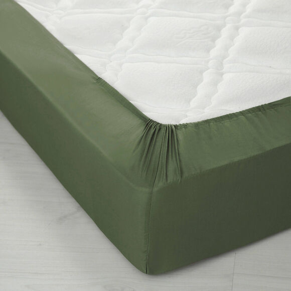 Drap-housse uni coton grands 57 fils/cm&sup2; - bonnet 40 cm (eucalyptus)