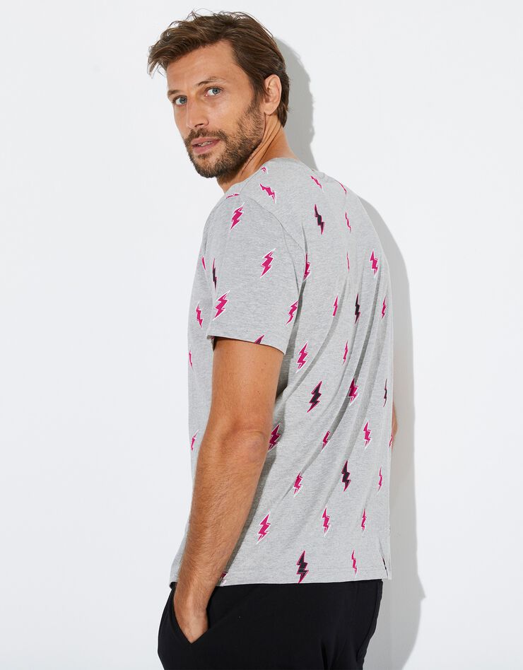 Tee-shirt imprimé homme collection Lulu la nantaise (gris) Tee-shirt imprimé homme collection Lulu la nantaise (gris)