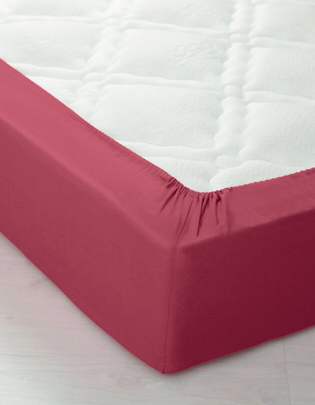 Drap-housse uni polyester - coton bonnet 32 cm (rose pivoine)