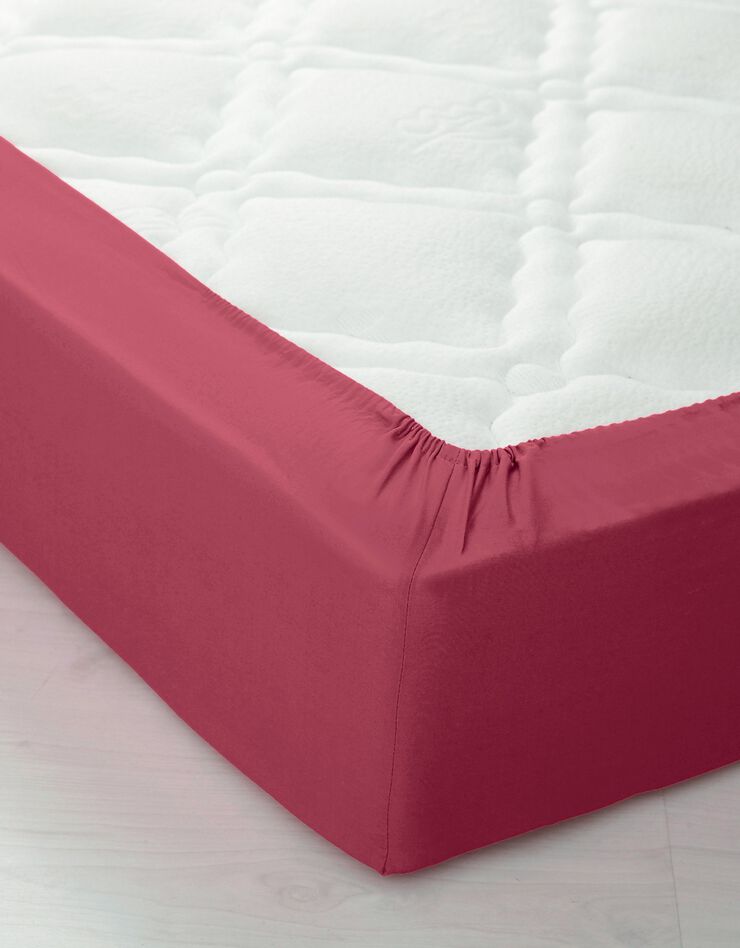 Drap-housse uni polyester - coton bonnet 32 cm (rose pivoine)