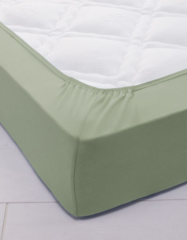 Drap-housse irrétrécissable uni coton (eucalyptus)