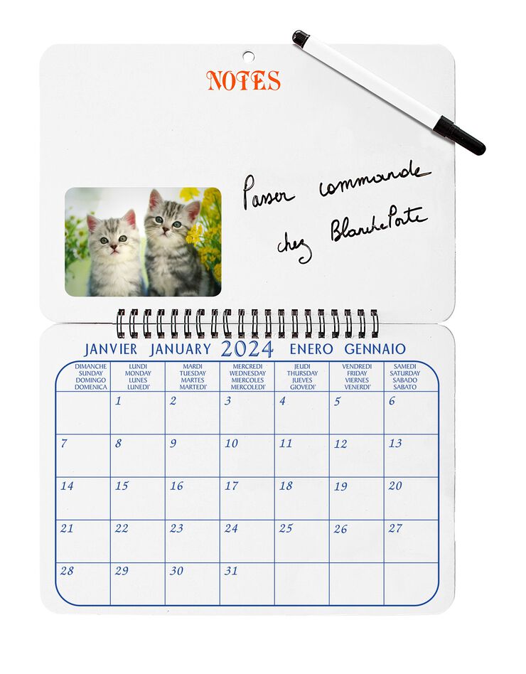 Calendrier mémo chatons 2024 (unique)