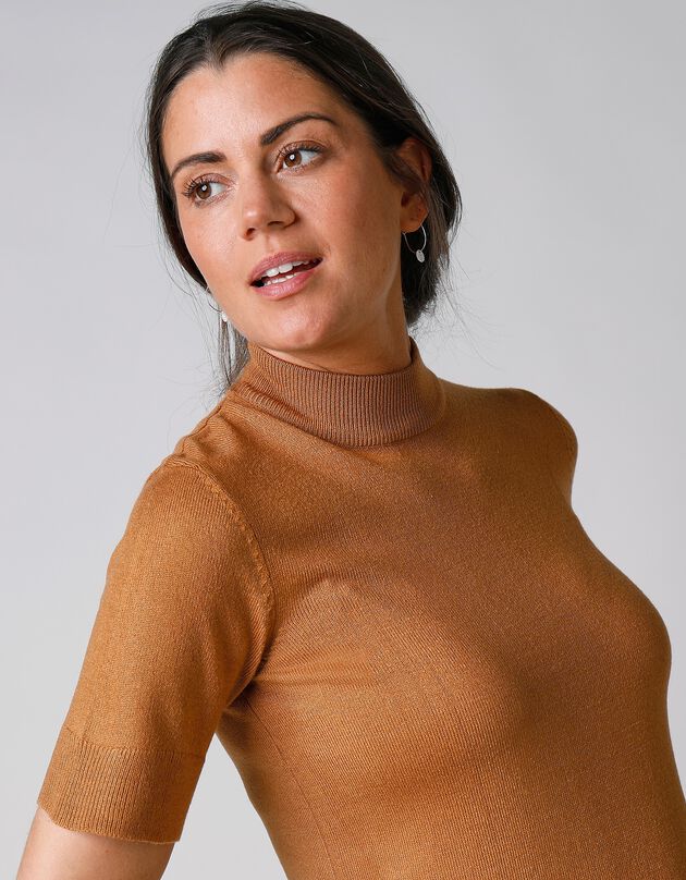 Pull col montant manches courtes toucher cachemire (noisette) Pull col montant manches courtes toucher cachemire (noisette)