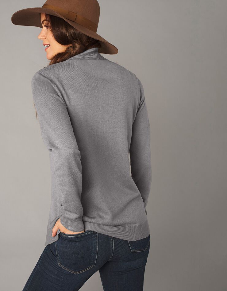 Pull col roulé toucher cachemire (gris) Pull col roulé toucher cachemire (gris)