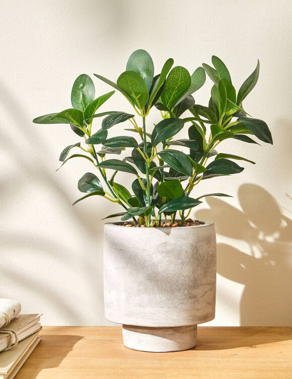 Plante artificielle en pot (gris)