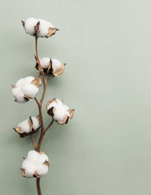 Blancheporte s'engage