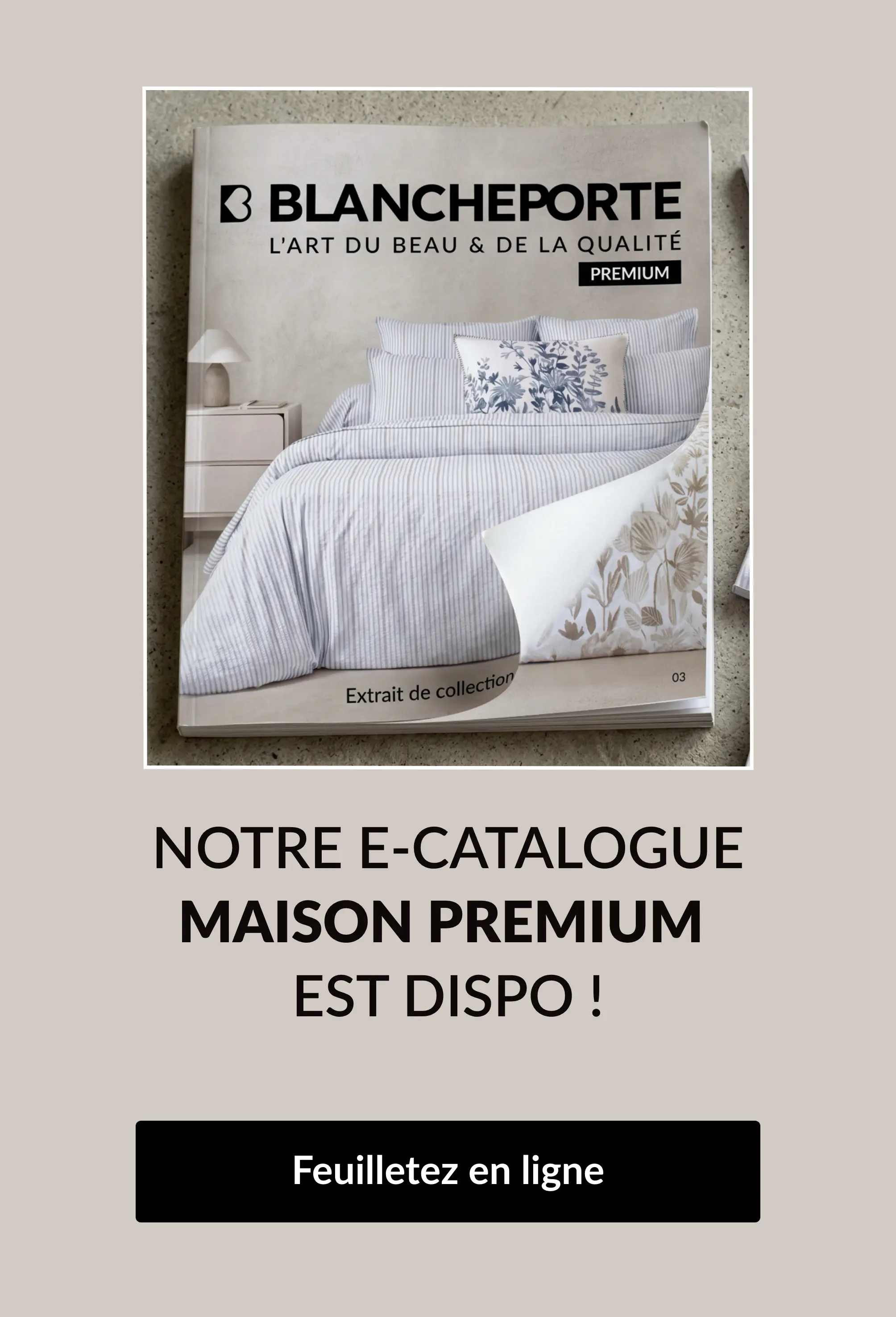 Notre nouvel e-catalogue est disponible, n'attendez plus