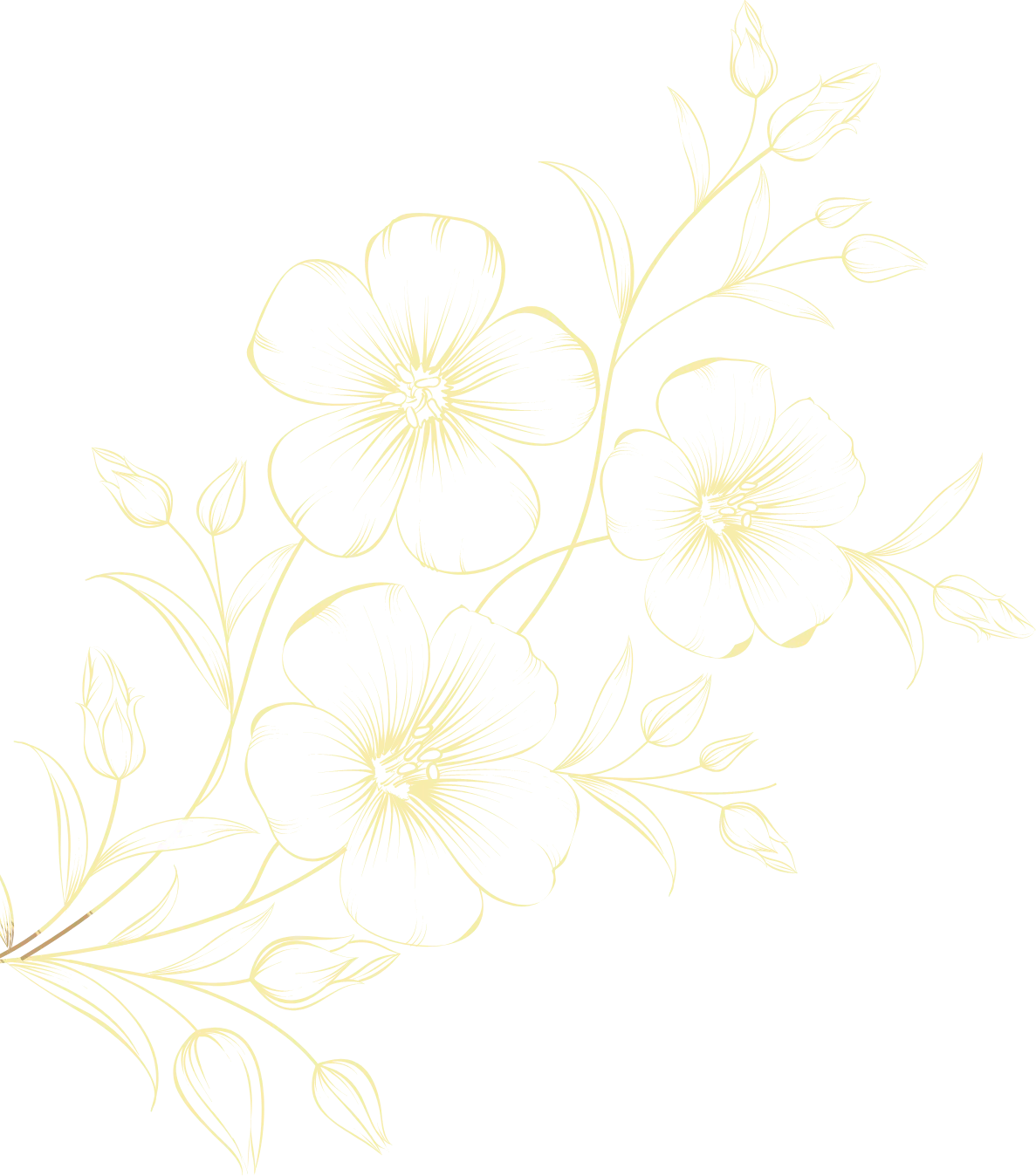 Fleurs