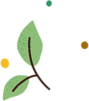 Feuille