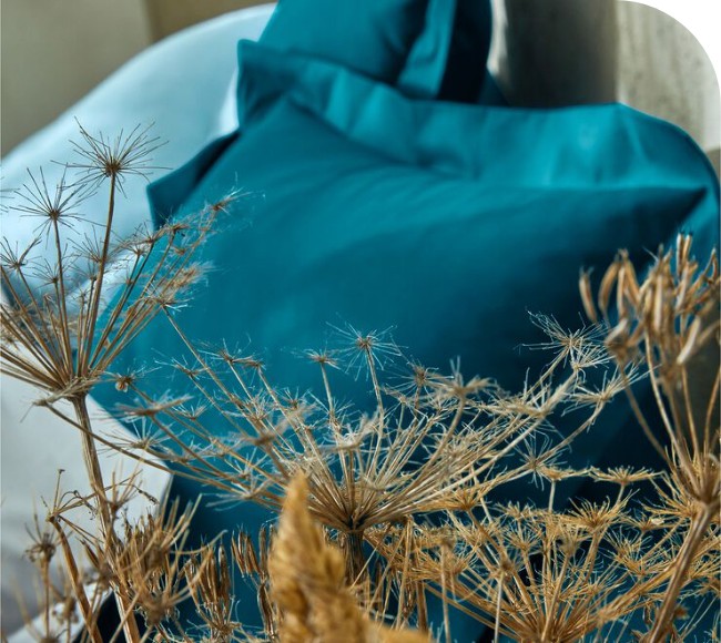 Linge de lit uni coton bio Linge de lit 100% coton bio Colombine® bleu paon pas cher | Blancheporte