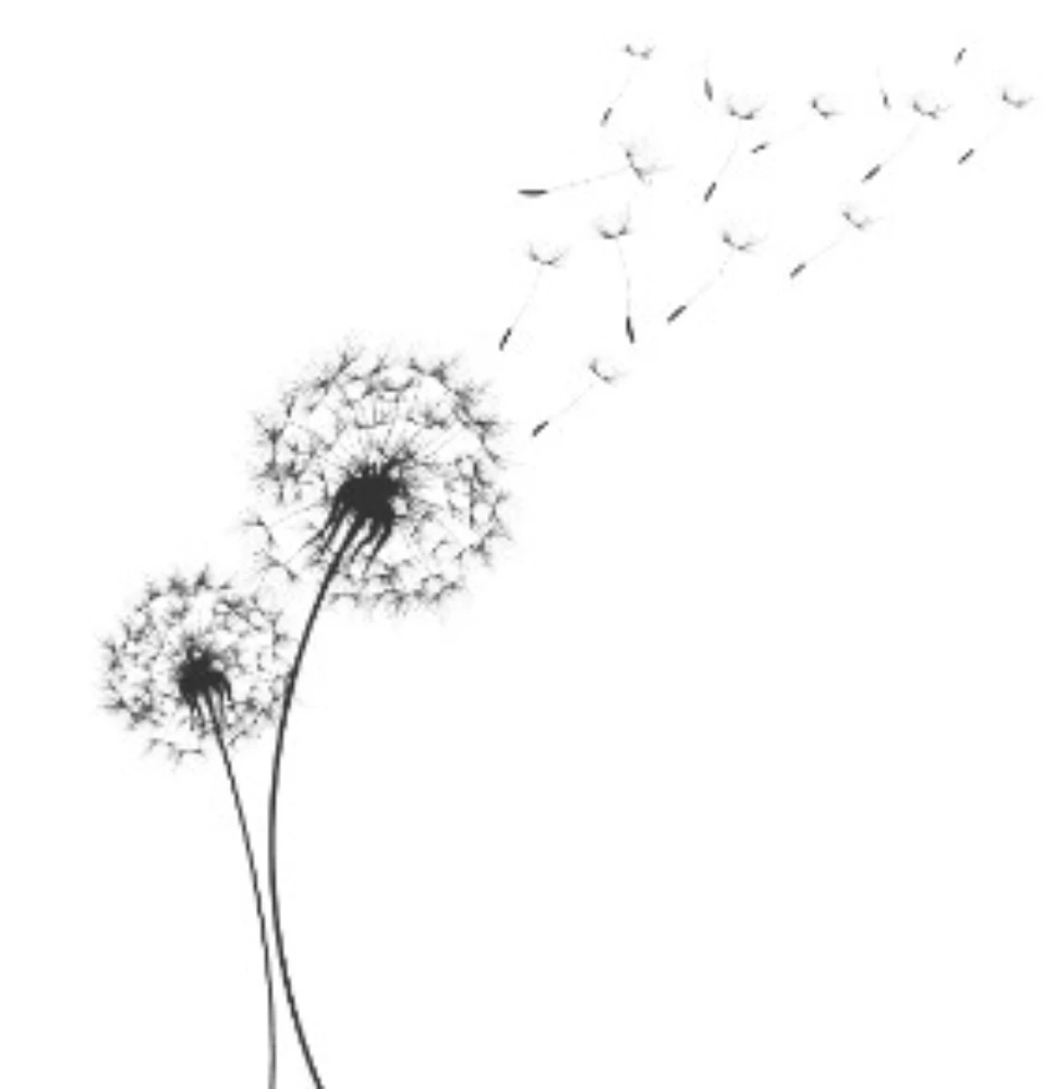 Fleur Fleur