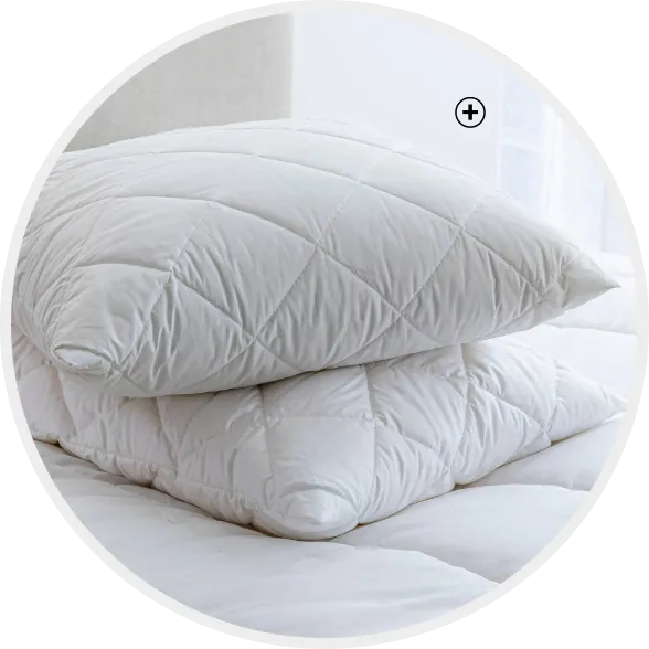 Oreiller à mémoire de forme antibactérien ferme, soutien optimal | Comment choisir son oreiller ? – Blancheporte