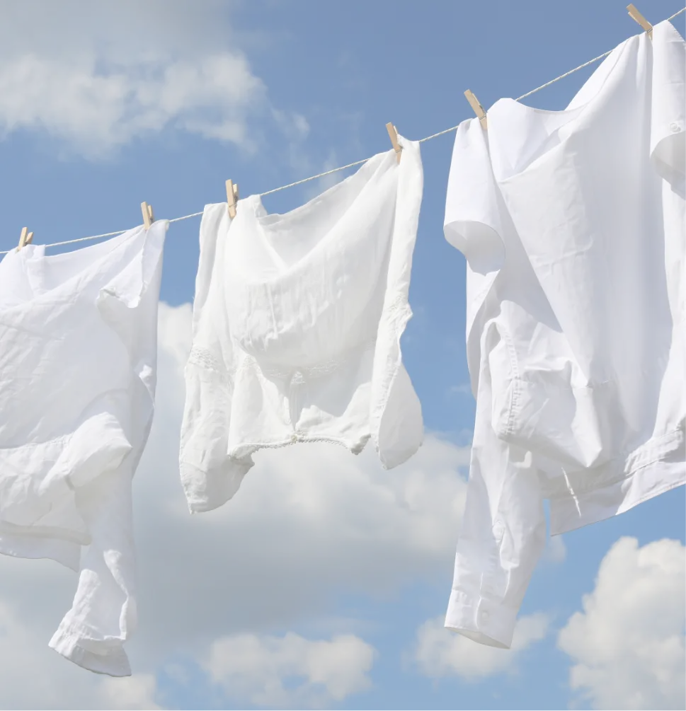 Linge