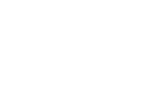 Le coussin “palmier” 20€19