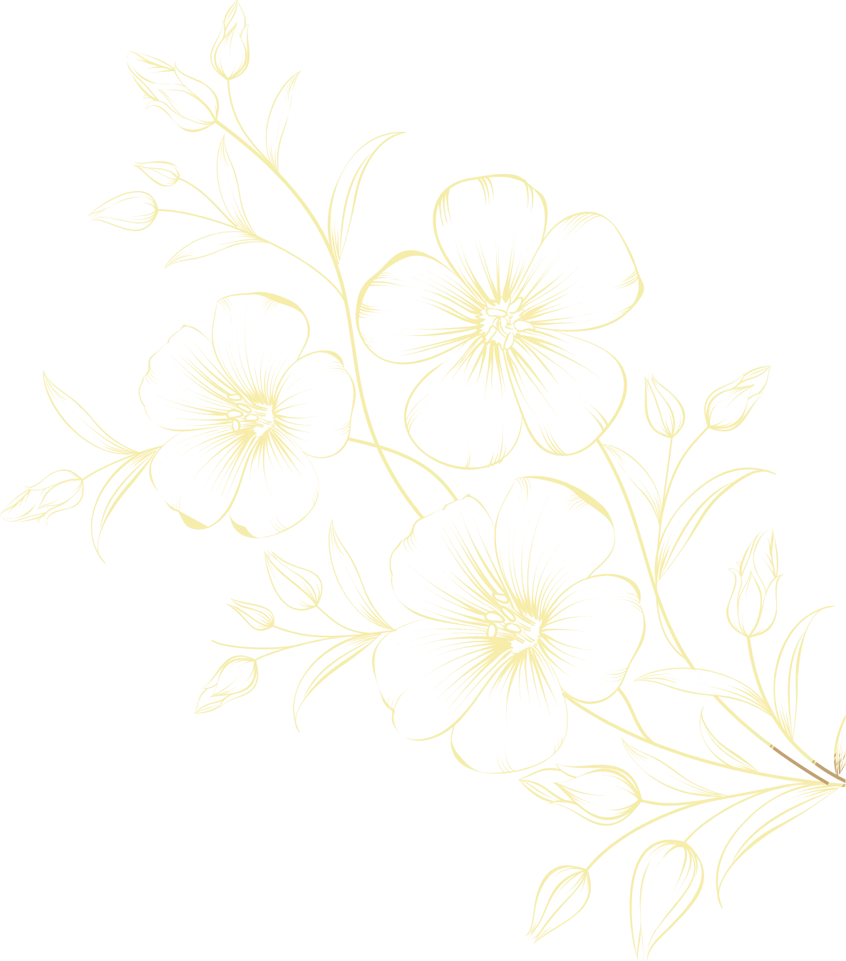 Fleurs