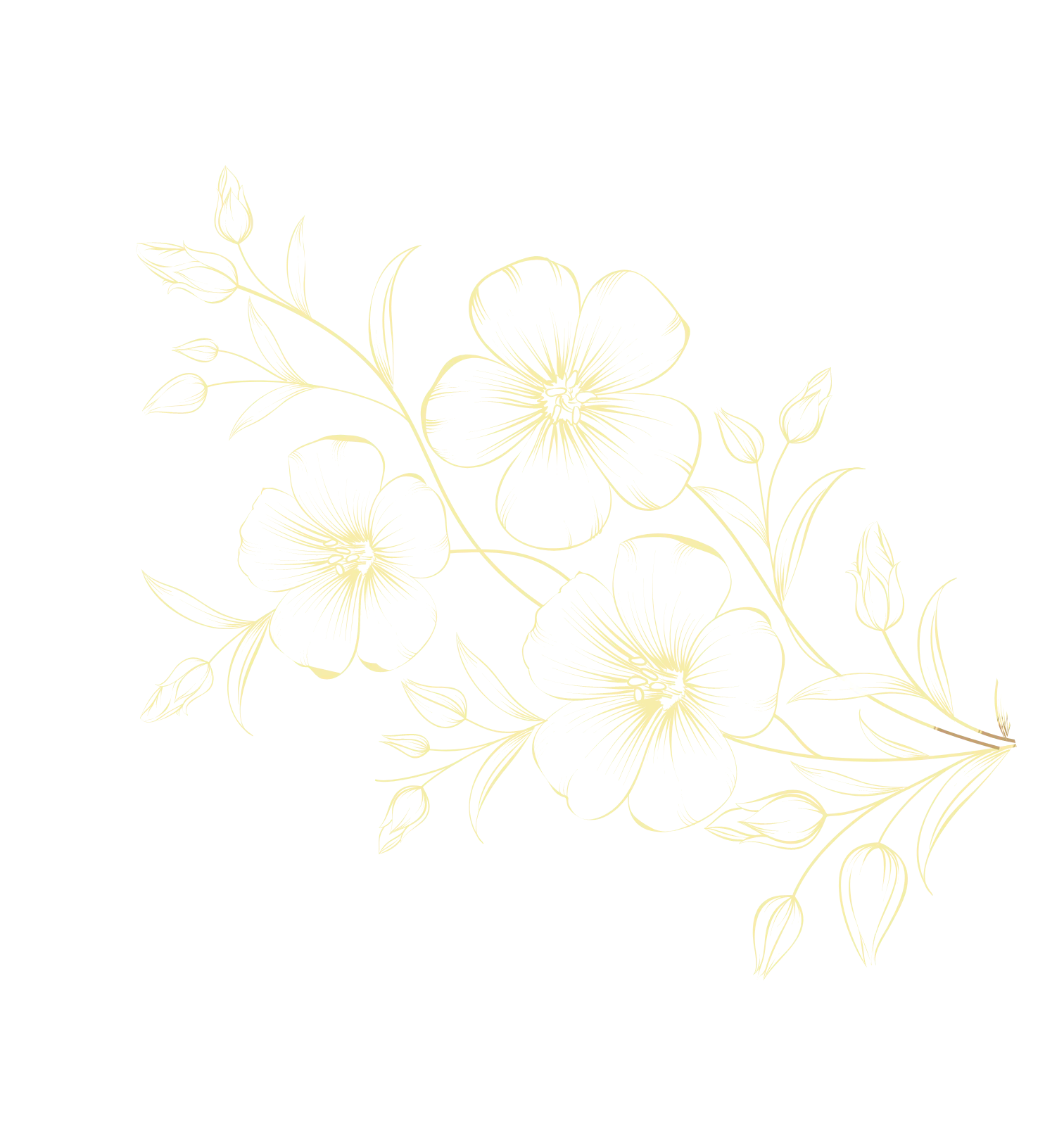 Fleurs