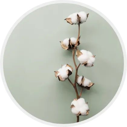 Comment bien choisir sa parure de lit ? Blog Blancheporte