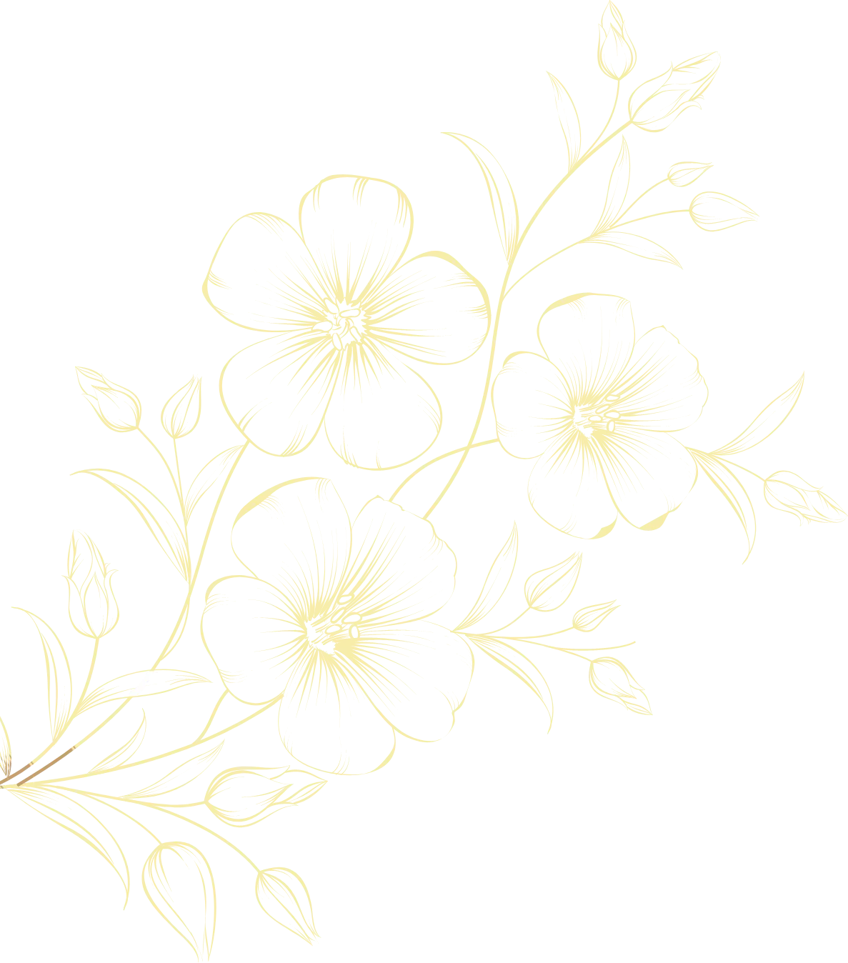 Fleurs