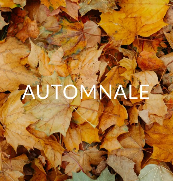 Relooking de votre chambre : tendance automnale | Blog Blancheporte