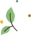 Feuille