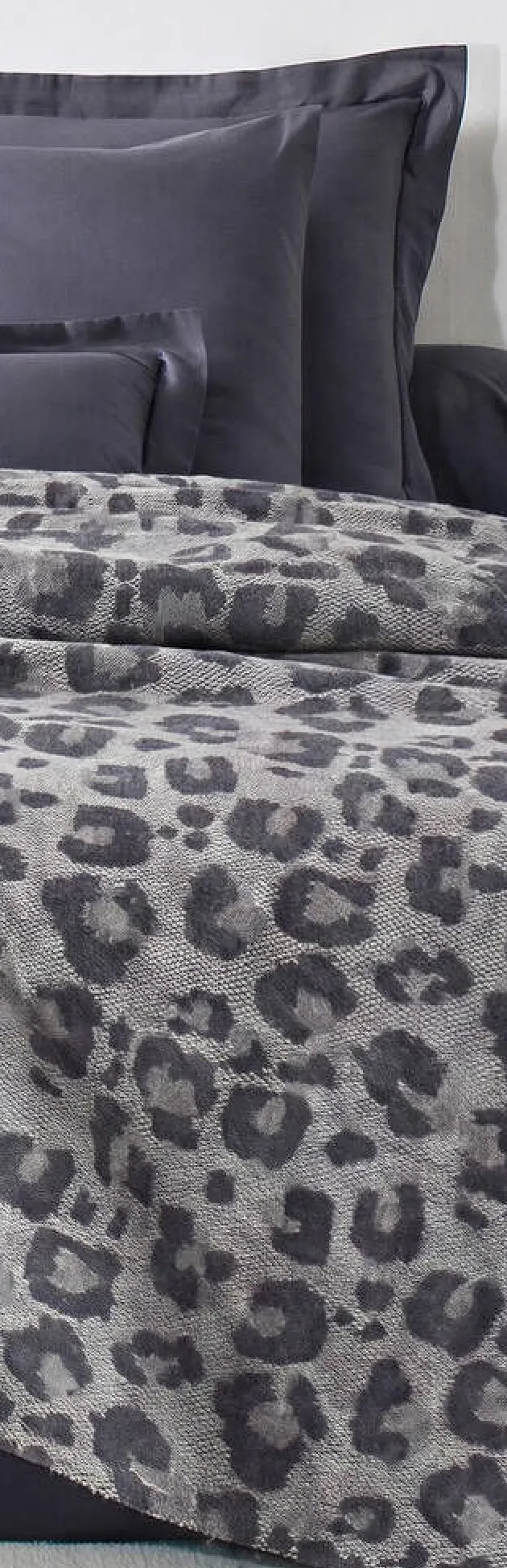 Couverture jacquard léopard 450 g/m² - Blog Blancheporte