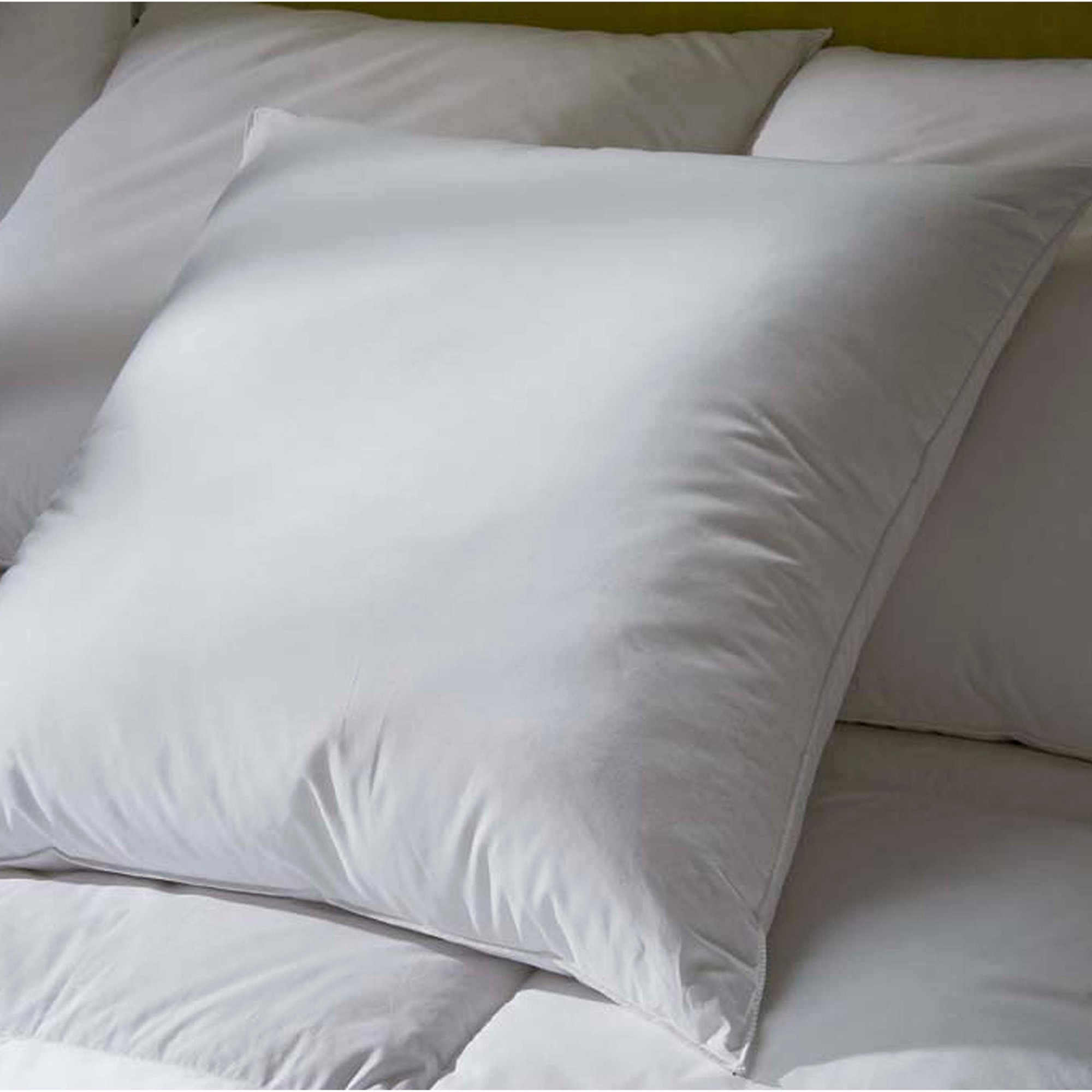 Oreiller Duvet Et Plumettes Enveloppe Coton Antitaches - 800g - Blancheporte