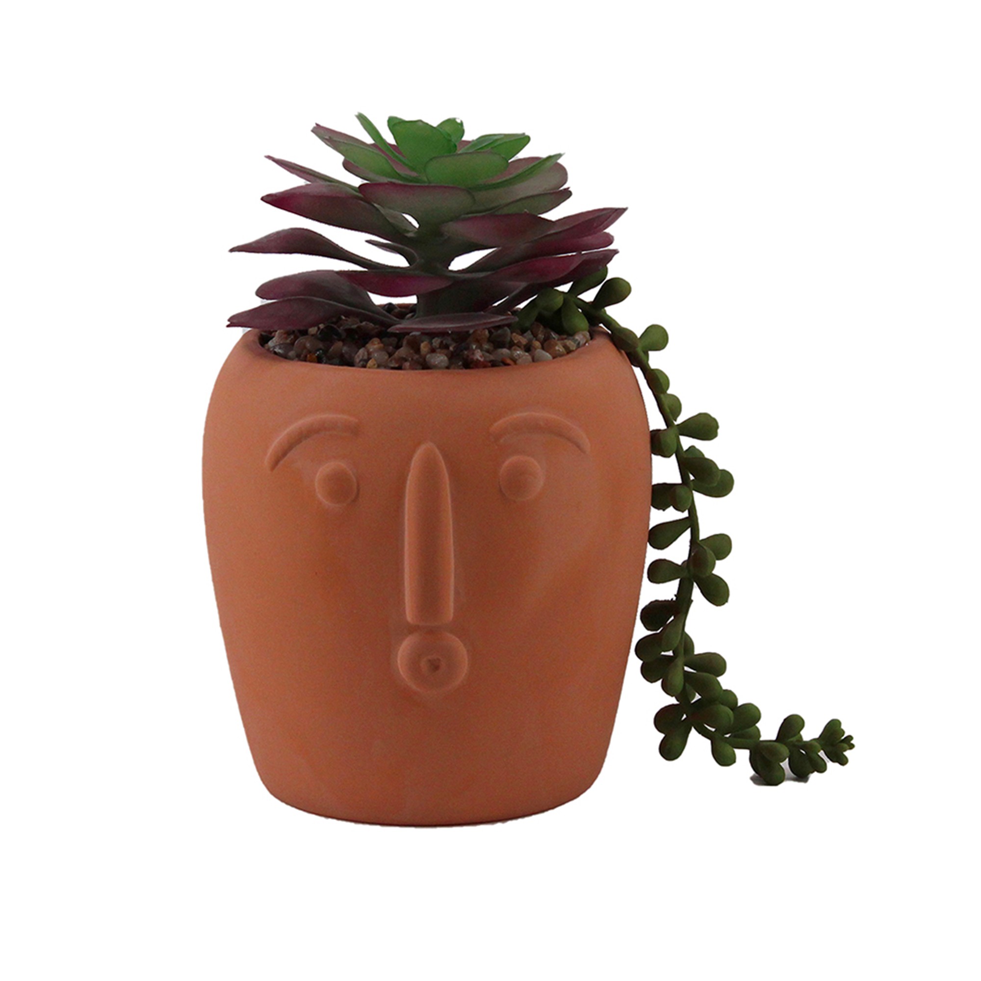 Plante Artificielle Et Pot En Terre Cuite - Blancheporte