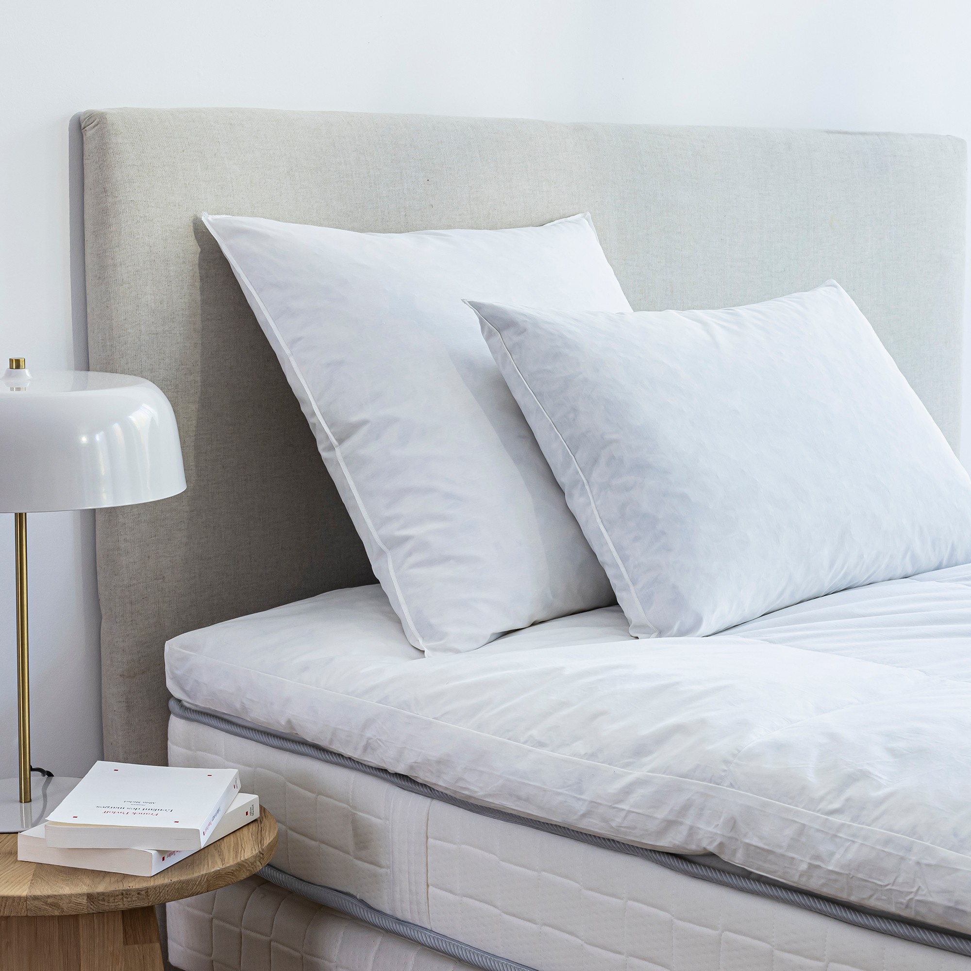 Oreiller Plumes - Blancheporte