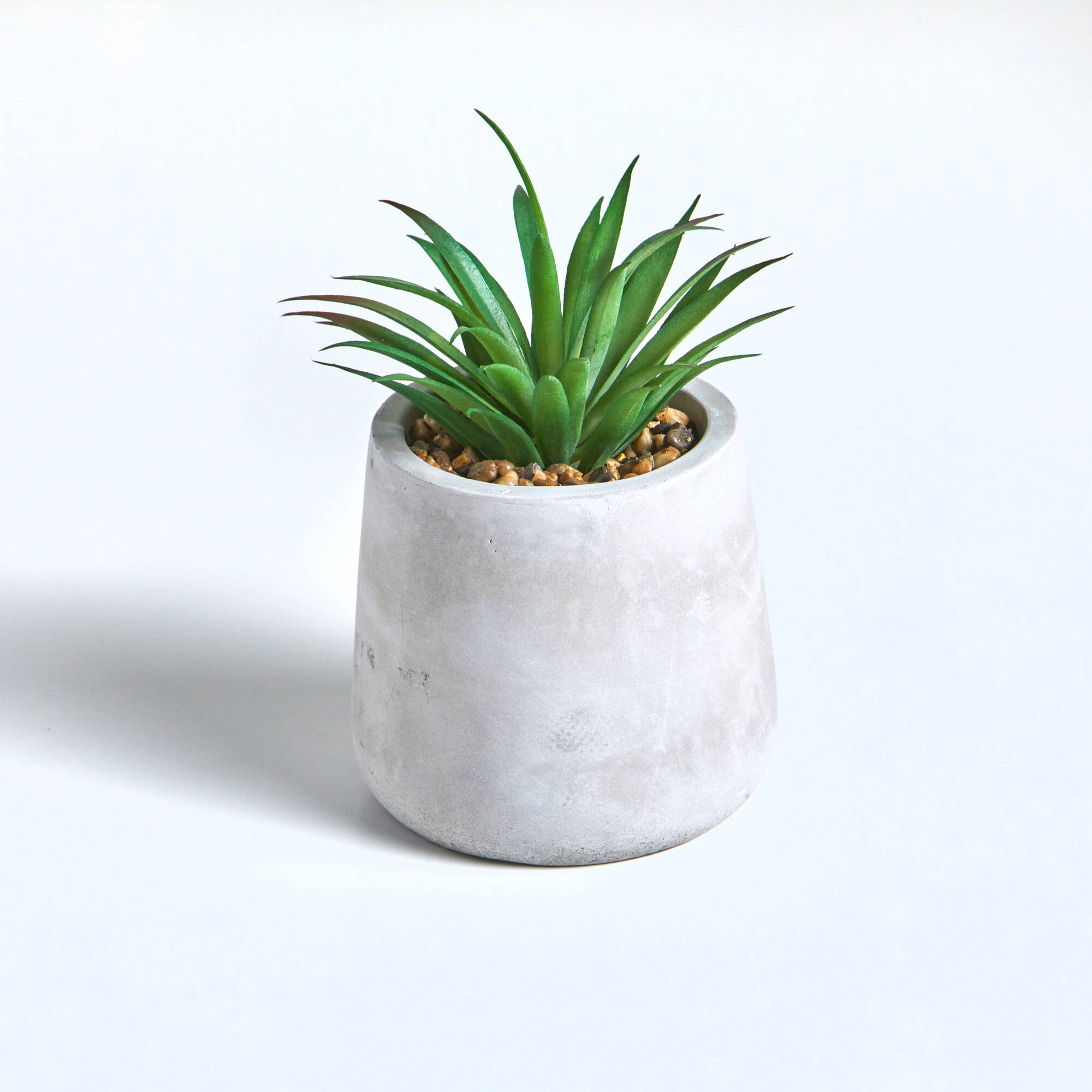 Plante artificielle et pot en ciment - Blancheporte