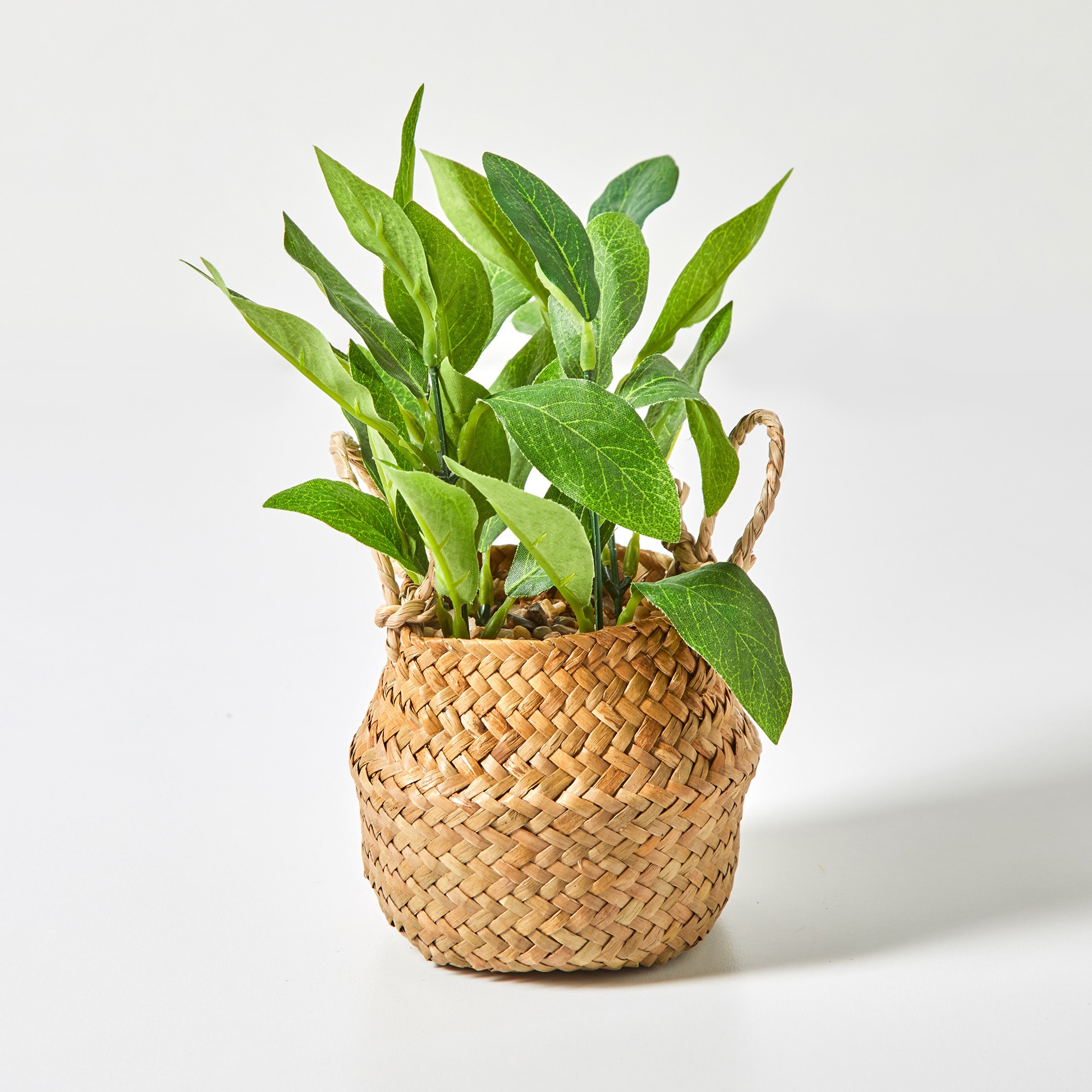 Plante Verte Artificielle Panier Jonc - Blancheporte