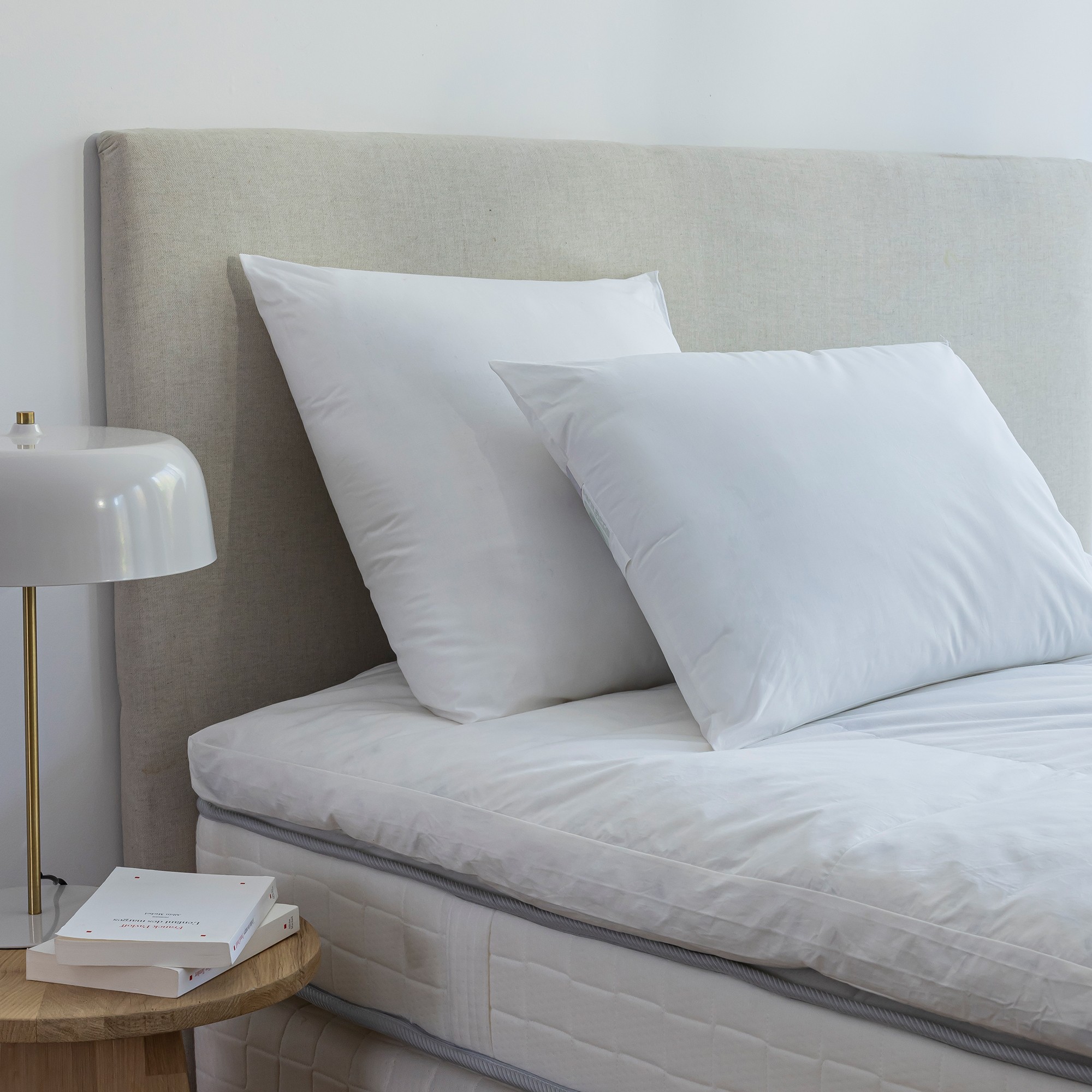 Oreiller antiacarien Dodo® Proneem® moelleux - Oreiller : 65x65cm - Blanc - Dodo