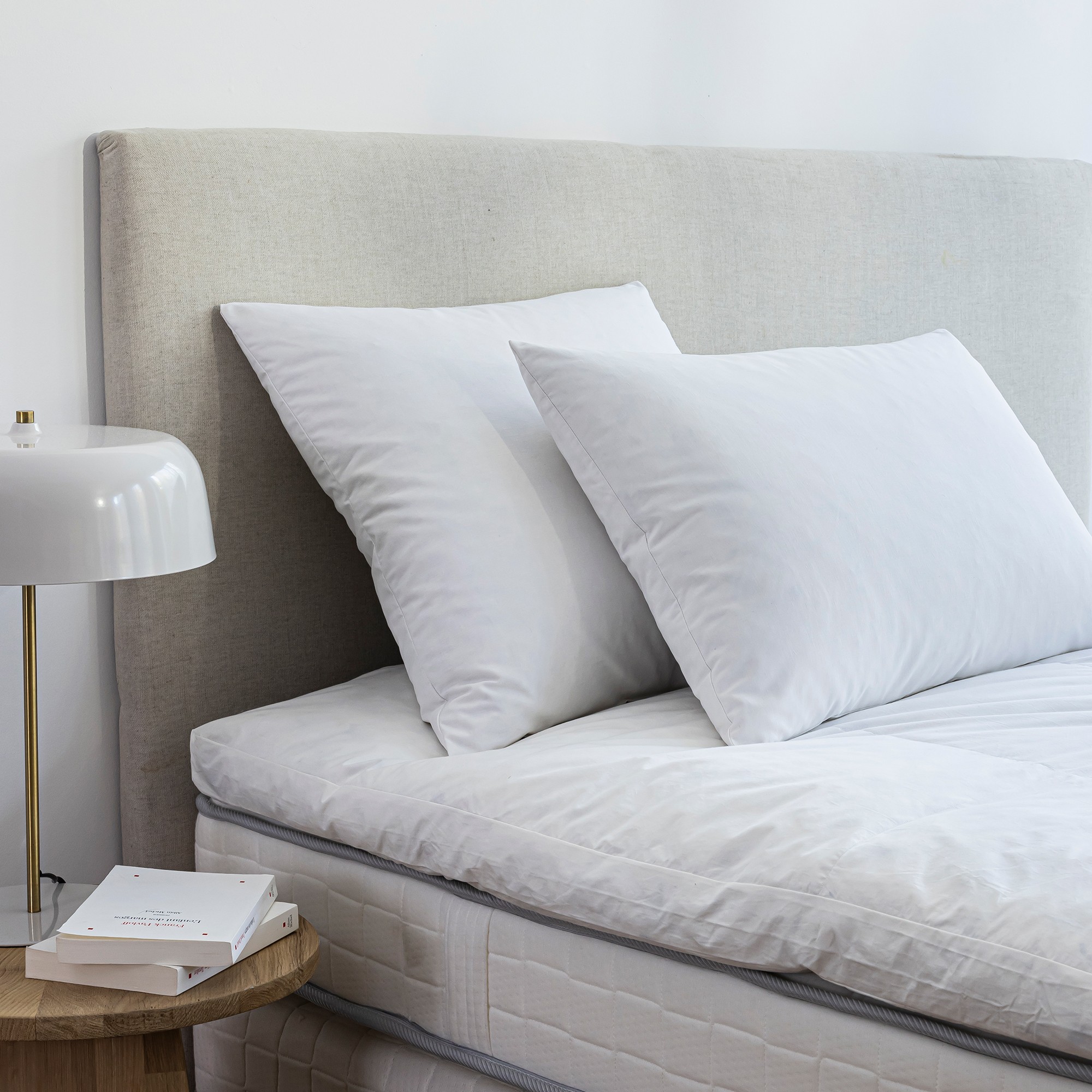 Oreiller naturel anti-acariens moelleux - Oreiller : 65x65cm - Blanc - Dodo