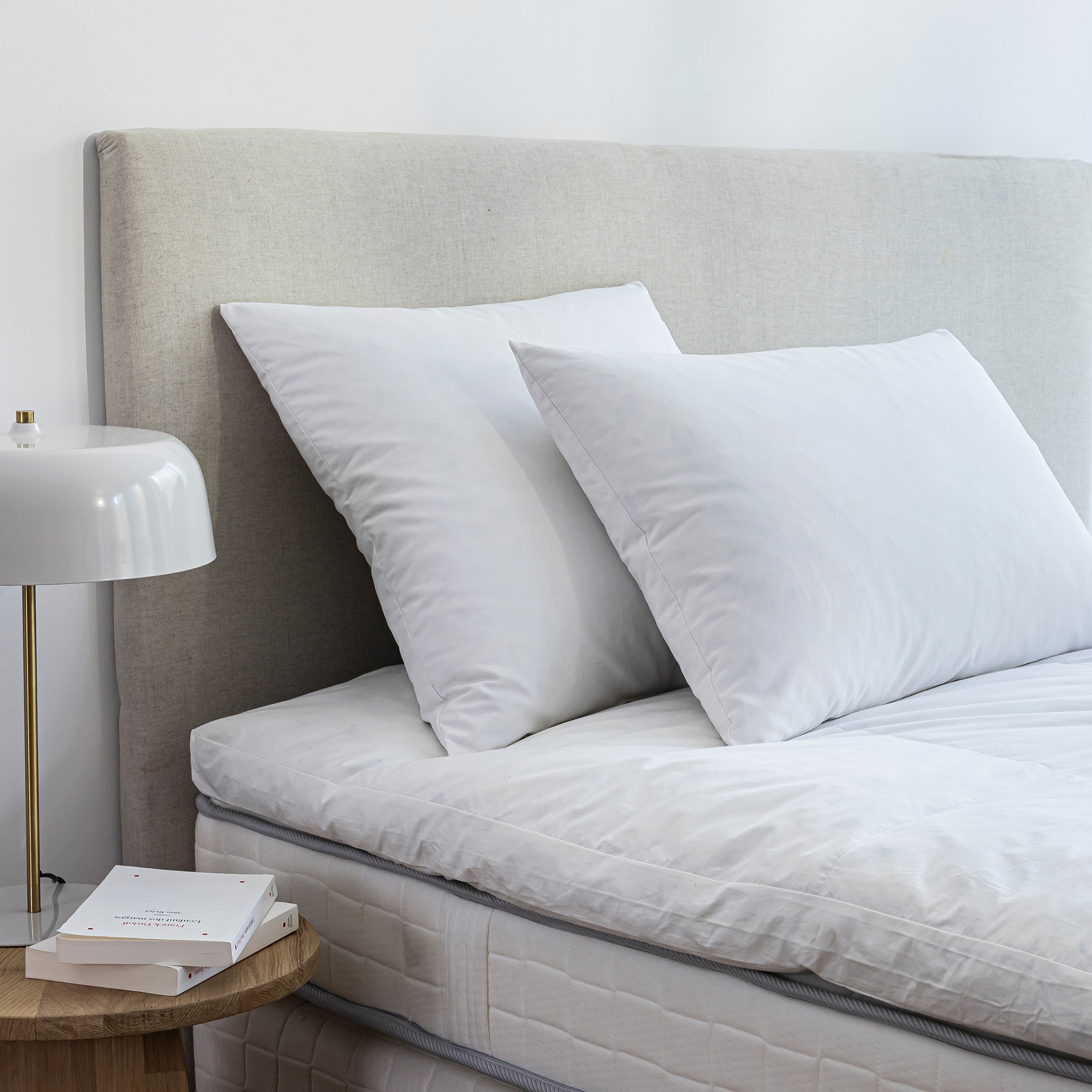 Oreiller naturel Dodo® ferme Proneem® anti-acariens - Oreiller : 65x65cm - Blanc - Dodo