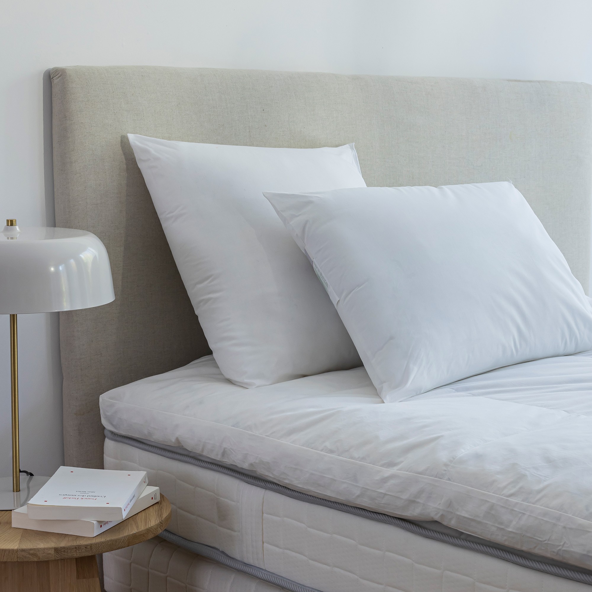 Oreiller anti-acariens Proneem® ferme - Oreiller : 65x65cm - Blanc - Dodo