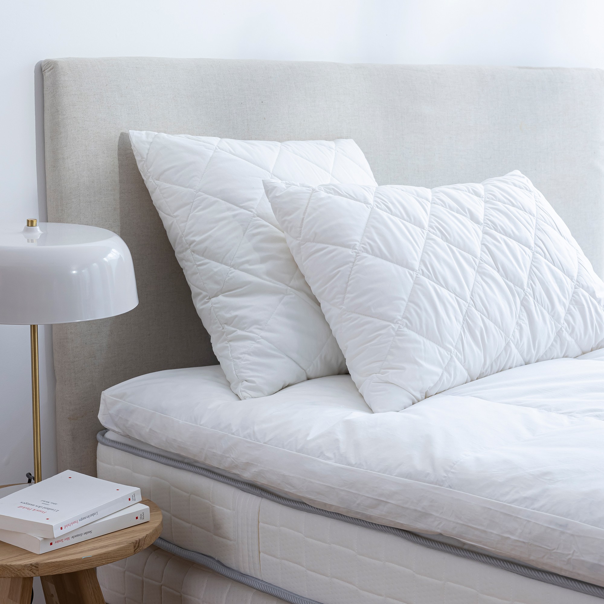 Oreiller mémoire de forme F.A.N.® Antibac médium - Oreiller : 65x65cm - Blanc - Conforlux